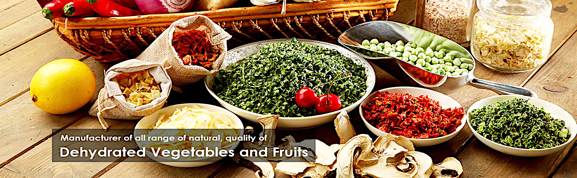 banner-for-website-5